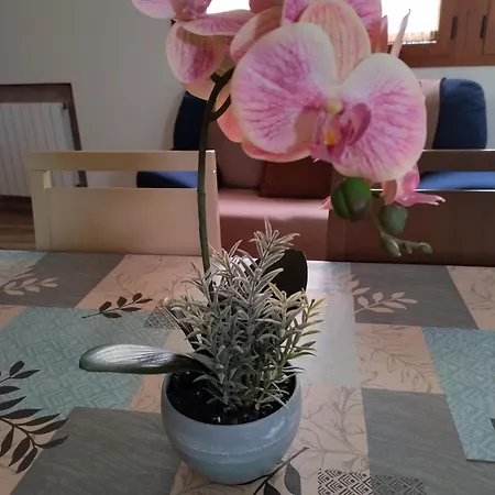 Zafranales Apartament